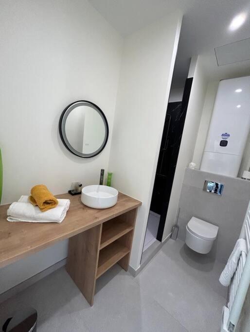 Apartmán Le Studio Jardin D'Eden Metro Palais De Justice Toulouse Exteriér fotografie